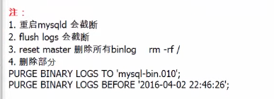 image-20220810182946829