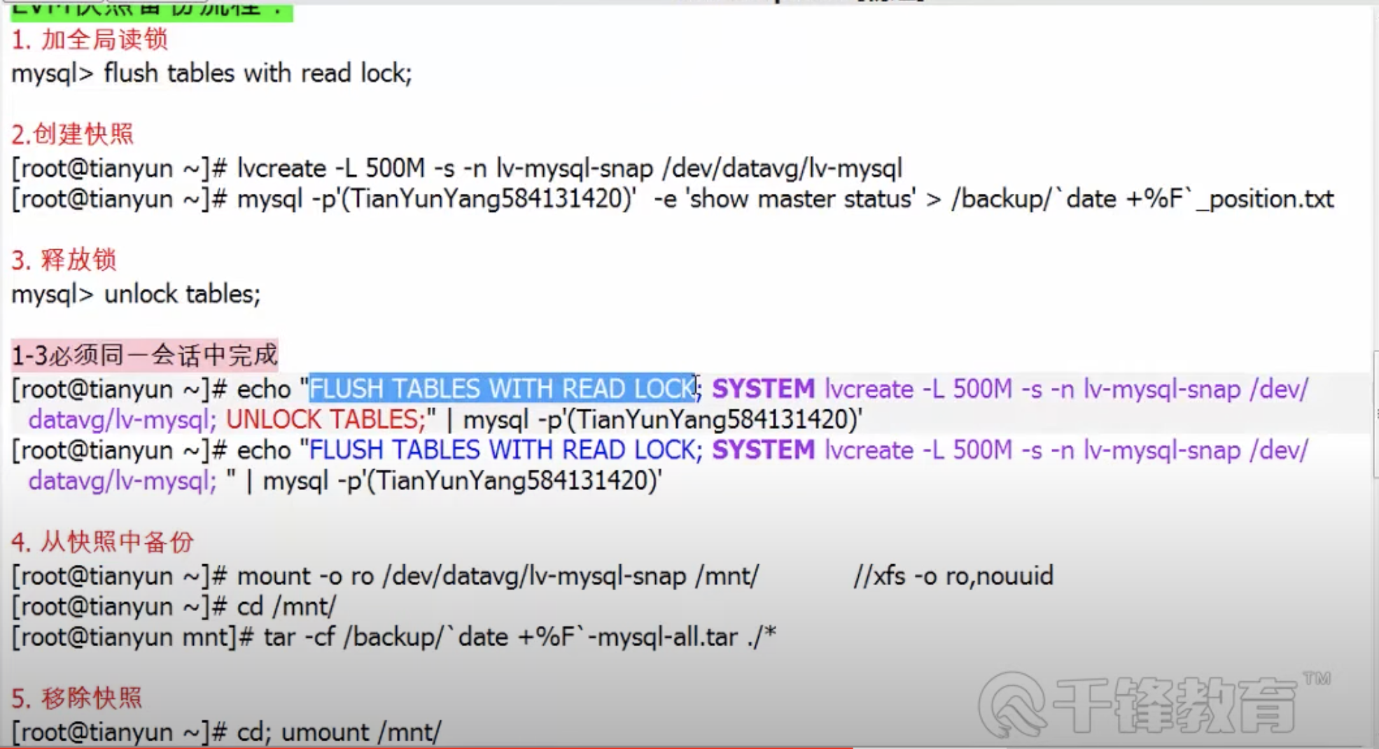 image-20220811000858415