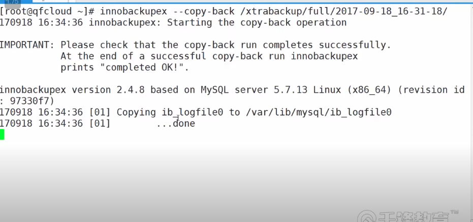 image-20220812143759125