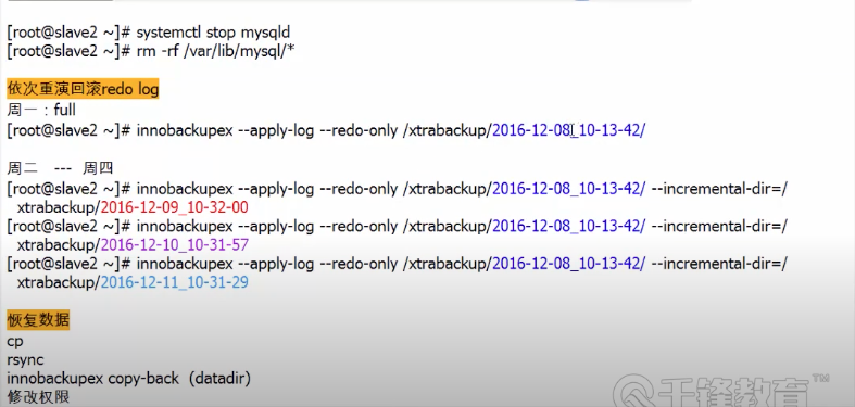 image-20220812145500362