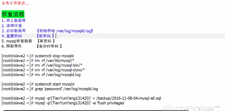 image-20220812162820684